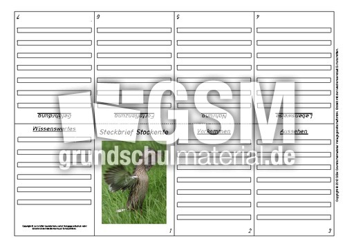 Faltbuch-Steckbrief-Stockente-4.pdf